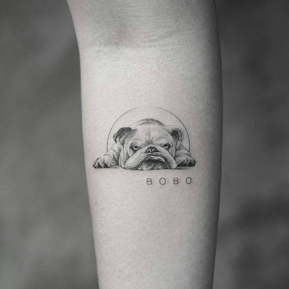 English bulldog bobo laying down tattoo