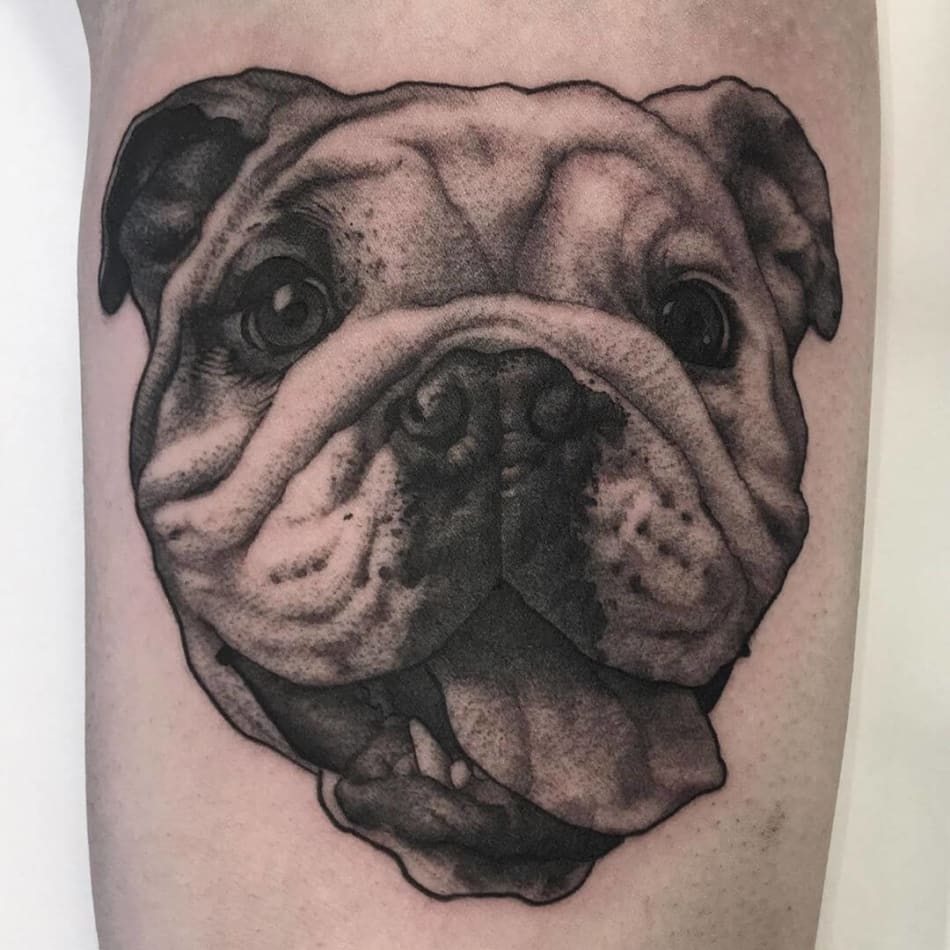 English bulldog realistic portait tattoo