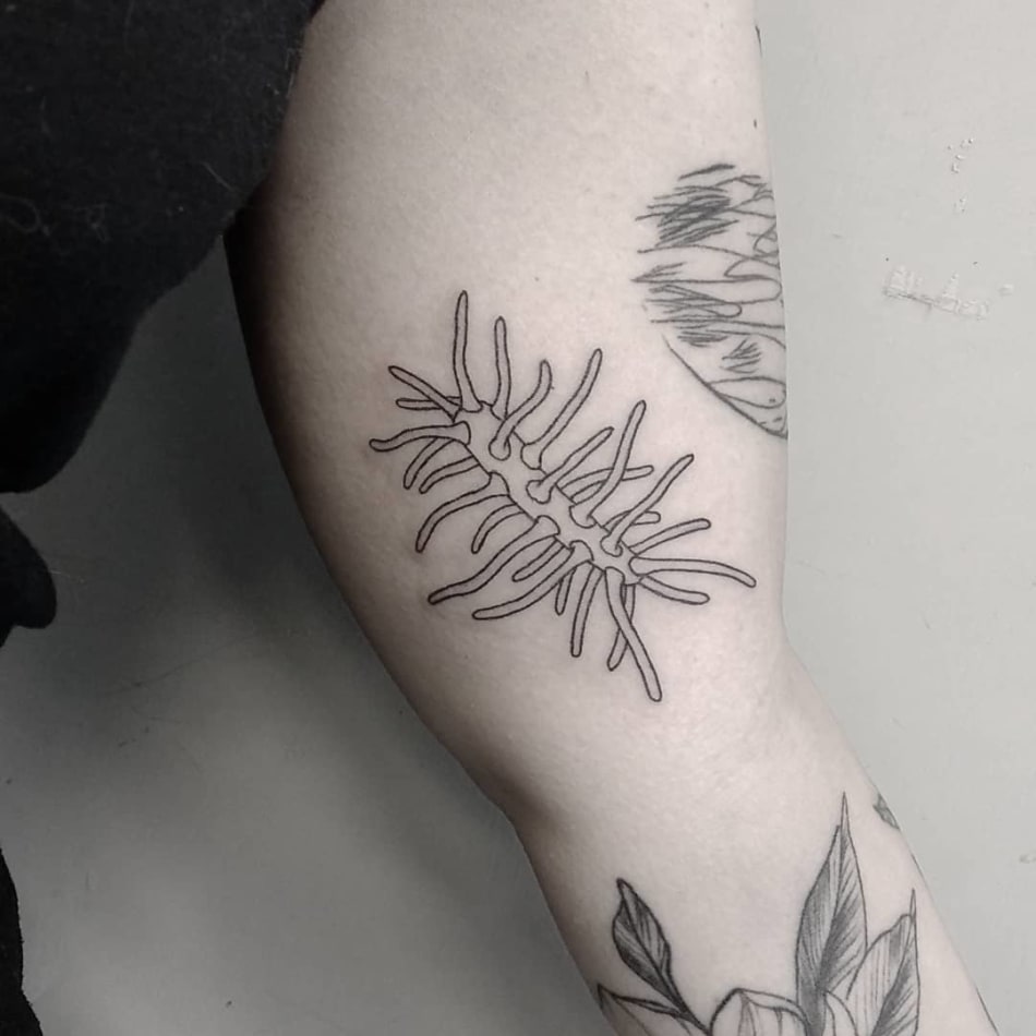 Natural organism tattoo by Tattson