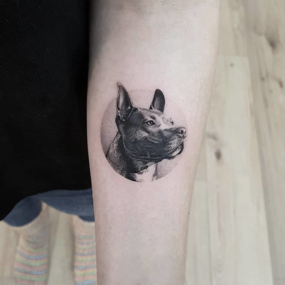 Thommesen Ink Dog Portait Tattoo