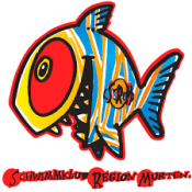 Schwimmklub Region Murten