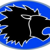 Zürich Lions Baseball