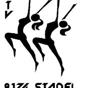 Damenturnverein Stadel