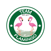 Team Flamingo 