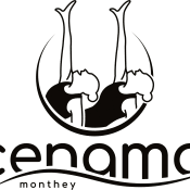 Cercle des Nageurs de Monthey, section Natation Artistique