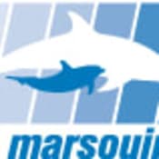 Les Marsouins