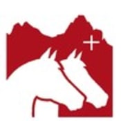 Kavallerieverein Schwyz