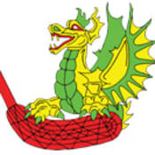 Giswil Dragons