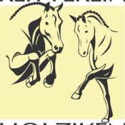 Reitverein Holziken