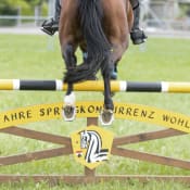 Kavallerieverein Bünztal