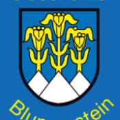 Feldschützengesellschaft Blumenstein