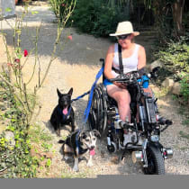 Auto mit Umbau für Stéphanie