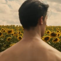 Sonnenblumen weinen auch