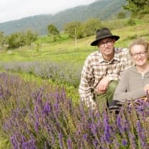 Un nouveau séchoir à plantes