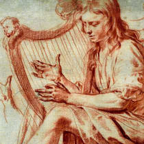 David's Harp