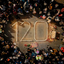 Gerechtigkeit für 120 Hunde 