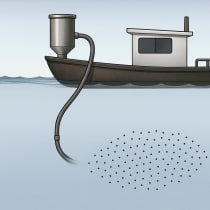 Deep Microplastic Sampling