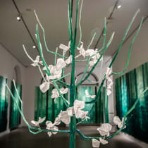 Éden perdu? Agissons!