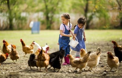 Ferme Pédagogique itinérante