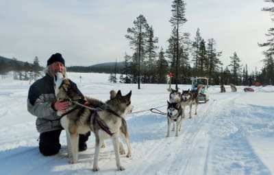 Through Swedens wild side