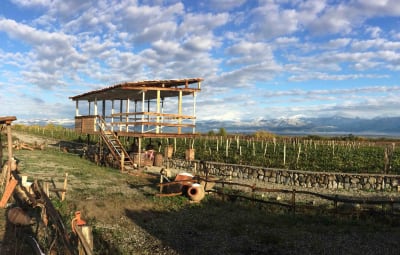 Salle de cours avec vue sur les vignes