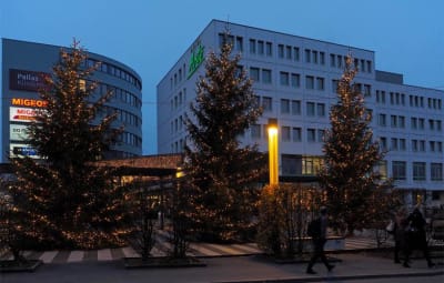 Die drei grossen Tannenbäume vor dem Sälipark (Foto: Kurt Schibler)