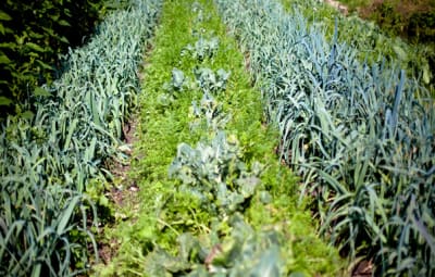 Les jardins du paysage