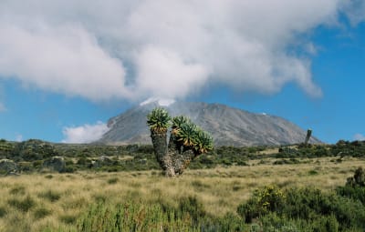 Hebamme in Tansania