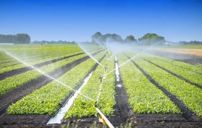 Smart Irrigation