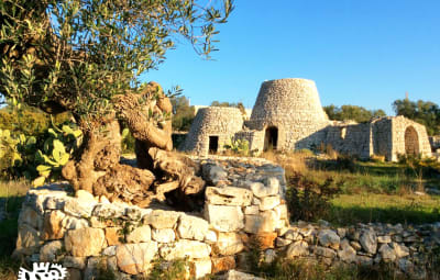 Agriturismo L'UPUPA 