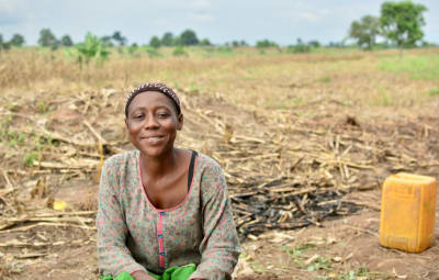 Bamboo Agroforestry