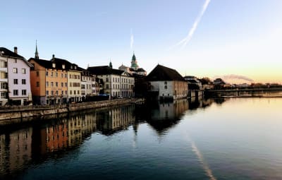 Kubare Solothurn