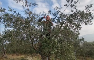 Azienda agricola biologica