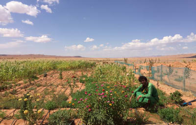 Bio Bauernhof in der Wüste