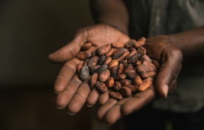 Festvial du chocolat 