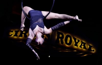 Mitarbeiter Circus Royal