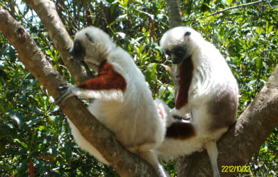 Madagascar tours