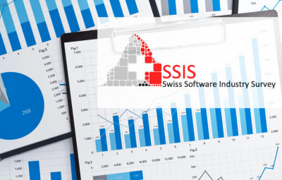 Software in der Schweiz
