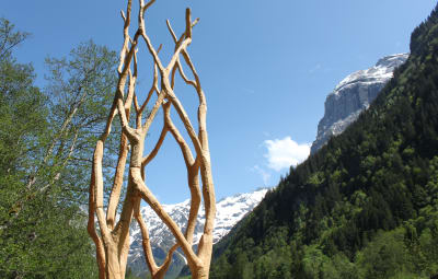 Landart Pfad Engelberg 