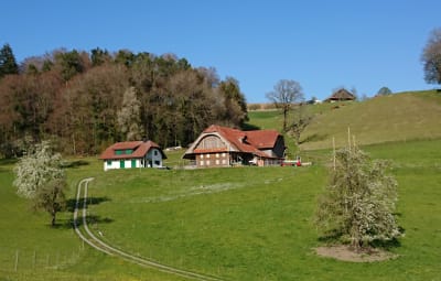 Bio Bauernhof Eichbel