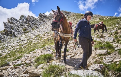 Abenteuer auf 8 Hufen