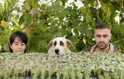 Regenerative Nursery Mértola