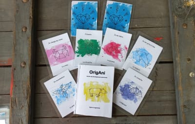 Oracle – cartes Origani