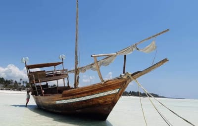 Restaurant Dhow Boat Bounty