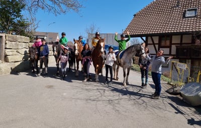 New saddles for our horses