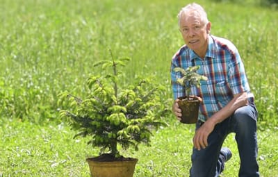 Biologisch abbaubarer Topf