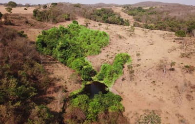 Fonte d'acqua SOS Brasile