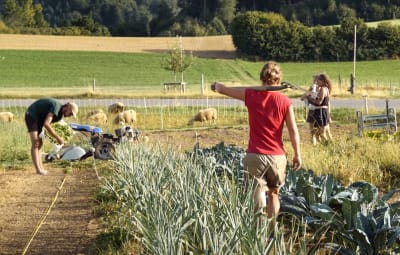 auVert - Landwirtschaft+