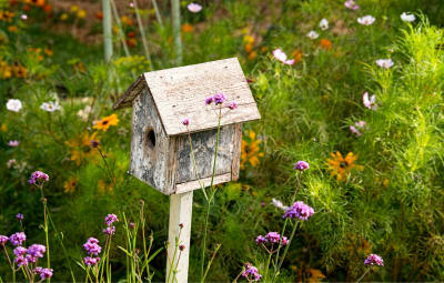 Jardins Vivants