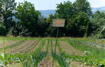 Landwirtschaft mit Zukunft